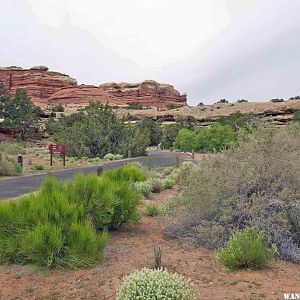 Squaw Flat Campground