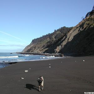 Usal Beach, looking North.