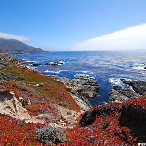 Big Sur Coast