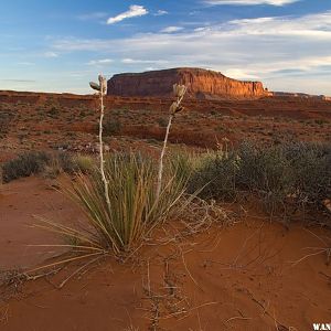 Monument Valley