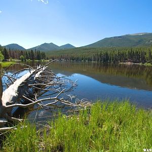 Sprague Lake