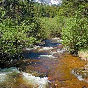 Glacier Creek at the Foot of Bierstadt Lake Trail