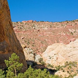 D.Dog & S.Mike Head up the Switchbacks on the Burr Trail