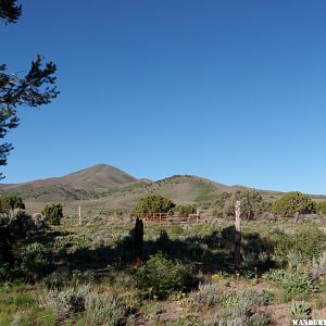 Looking up the Hill nr Austin, NV