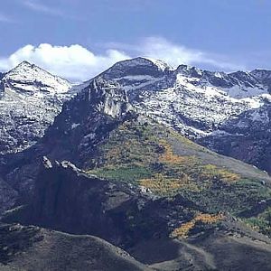 Ruby Mountains