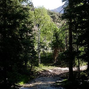 Stream Crossing into Snake Cr Camp