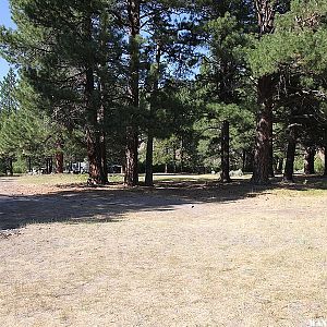 Lassen Creek Campground - Warner Mountains