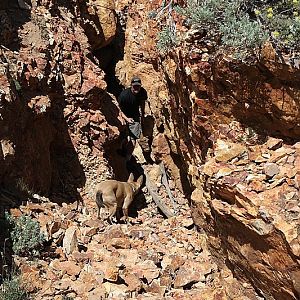 Old mine on the Highgrade route