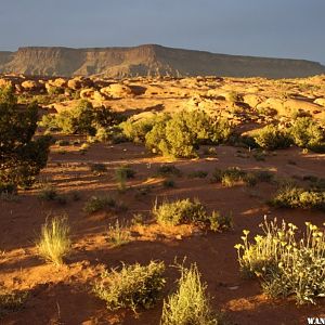 Indian Creek BLM Sunset