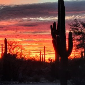 Arizona Sunsets