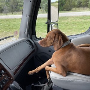 Co-Pilot Rhea enjoys the lap of luxury.