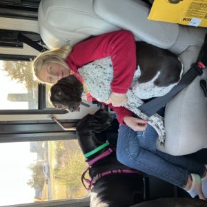 Kathy and a couple of the pups enjoying the ride!