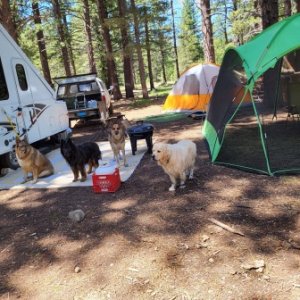 camping buds, Please pick up after yourself and your dogs. Even when boondocking .The next person camping their will thank you. I hope they will do th