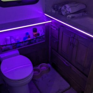 Bathroom-Purple