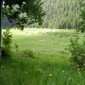 CCC Pad, Brush creek, Yeoman Park Colorado
When I was very young and into my teens my parents and friends would camp here at least once a year and I r