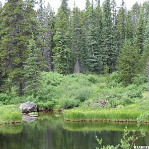 Green River- Tweedsmuir PP