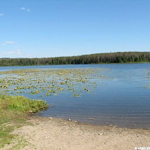 Co-op Lake