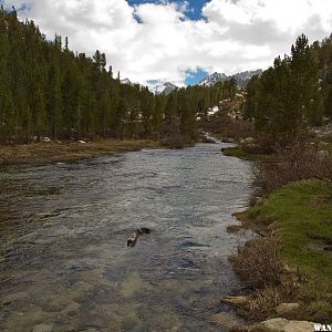 Rock Creek near Mosquito Flat