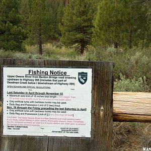 Big Springs Area on the Owens River