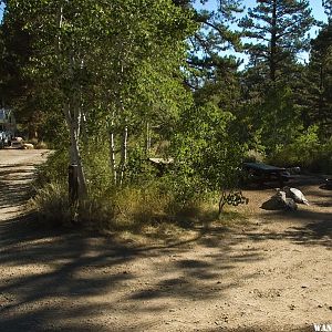 Leavitt Meadows Campground