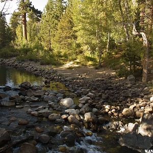 Leavitt Meadows Campground