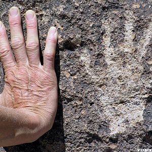 Petroglyphs in the Volcanic Tablelands