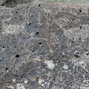 Petroglyphs in the Volcanic Tablelands