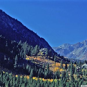 Late Fall on the Dana Lake Trail