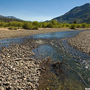 Leavitt Meadows