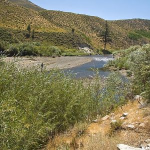 West Walker River Along Highway 395