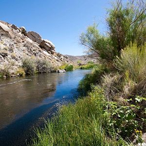 East Walker River, NV