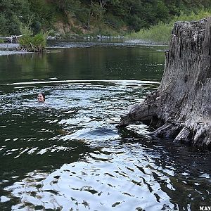 Eel River near access from Gould Grove