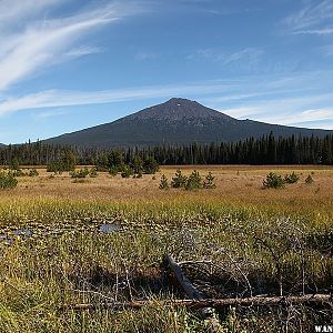 View of Mount Bachelor from Mallard Marsh Campground