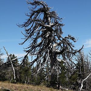 This mountain gets a bit of wind