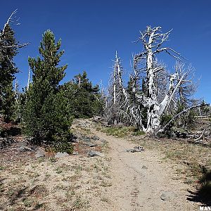 Tumalo Mountain Trail