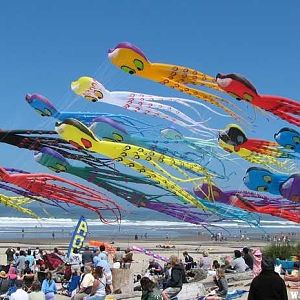 More Kites at D River