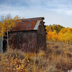 Tamarack Mine 1879