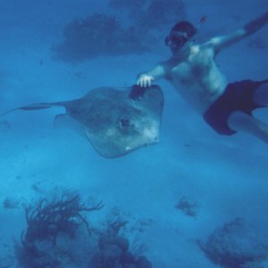 Ever pet a stingray?