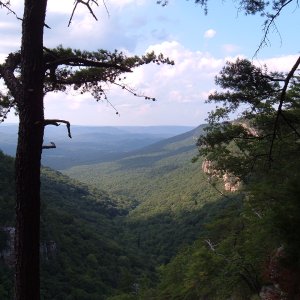 Cloudland Canyon View 1