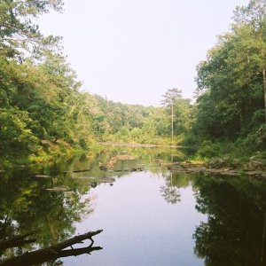 Looking down the Towaliga River