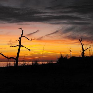 Dauphin Island Sunset