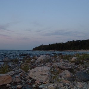 Shoreline at Awenda Prov Park