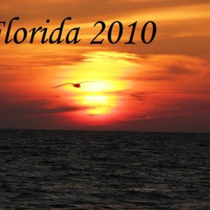 Florida_2010-1