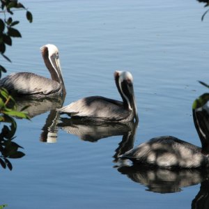 Florida_2010-9