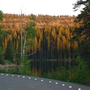 Grand Mesa Lakes National Forest, CO.