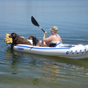 Momma & Pups looking for Rainbow Trout to catch