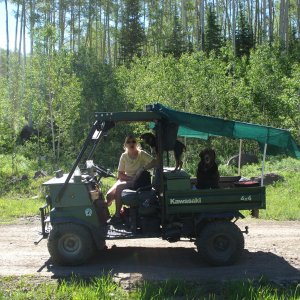 Hit'n the Trails at Grand Mesa National forest, CO.