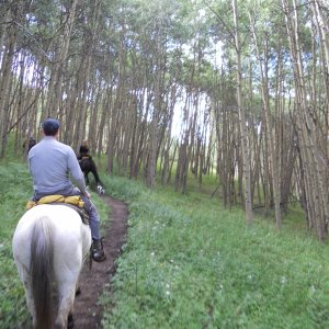 On the trail in Leadville,CO