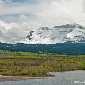 In Waterton Lakes National Park