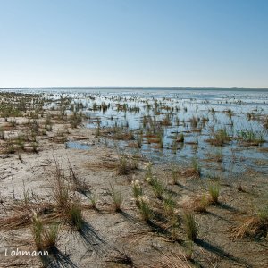 Salt March in Saskatchewan